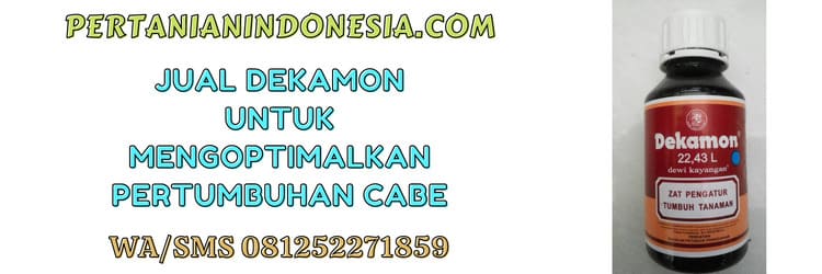 pertanian indonesia,jual,zpt,dekamon 22,43 l,murah